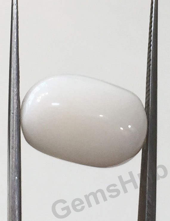 9.19 ct Natural Certified  White Coral/सफ़ेद मूंगा
